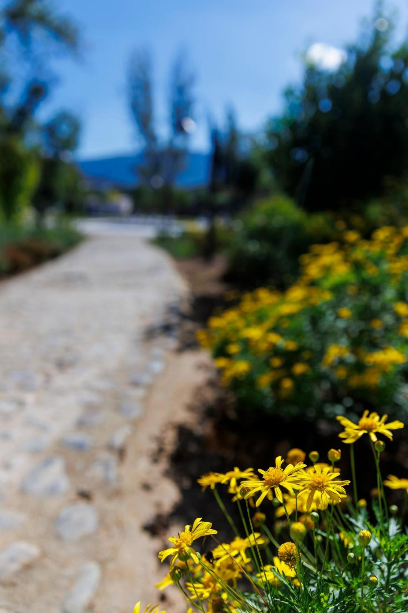 Finca Las Pecas Zambra Екстериор снимка